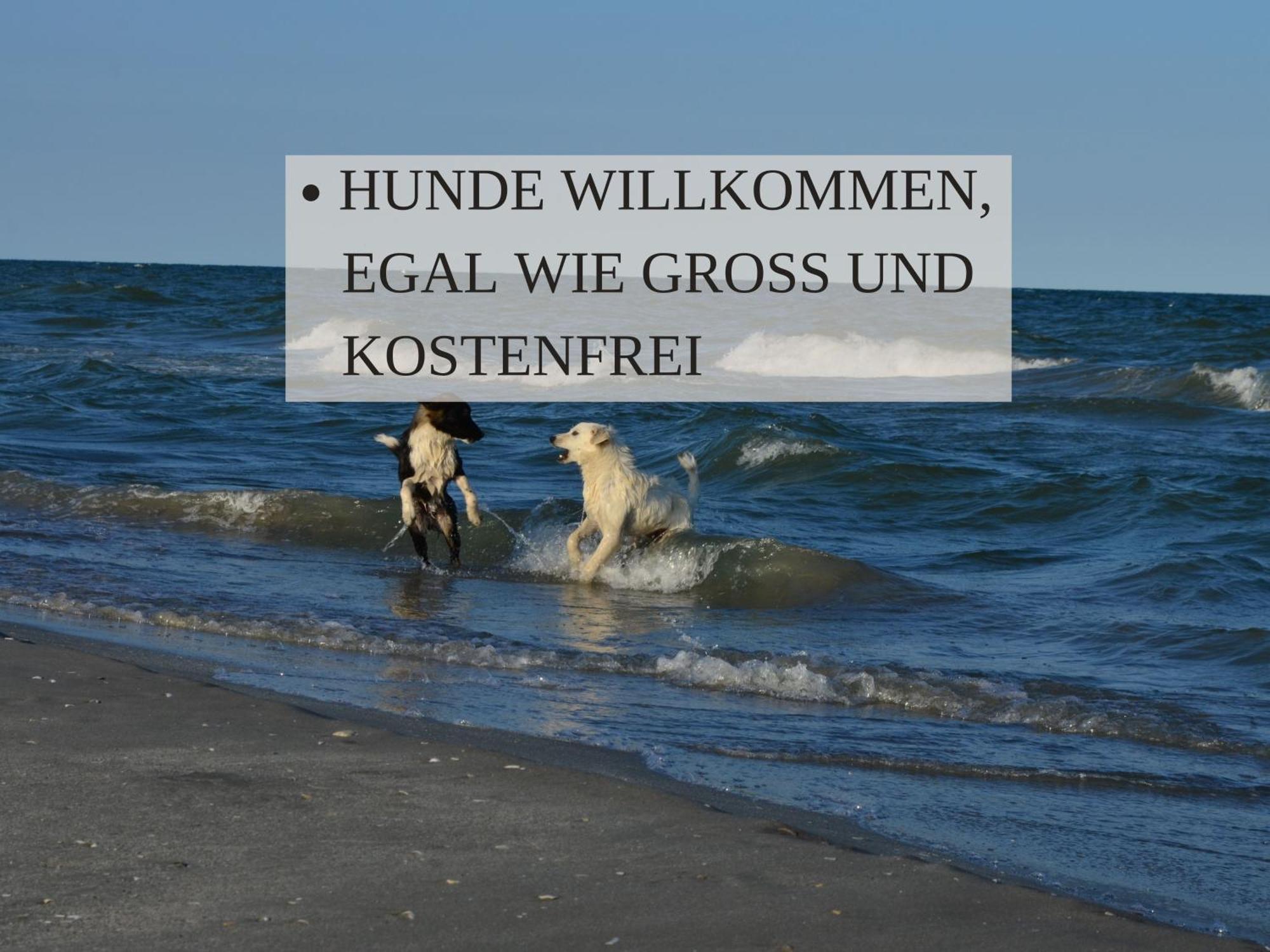 Haus Krabbe Apartments Mit Doppelbetten, Fuer 1-2 Personen, Hunde Kostenfrei Willkommen, Kostenfreier Parkplatz, Zwischen Bremerhaven Und Cuxhaven Gelegen Wremen Exterior foto